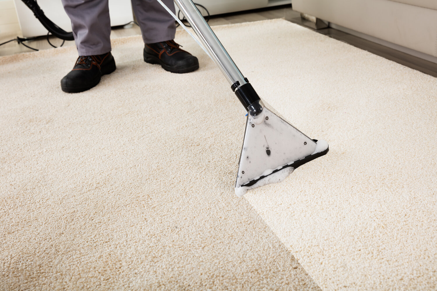 The Great Debate: DIY vs. Professional Carpet Cleaning in Northern Beaches