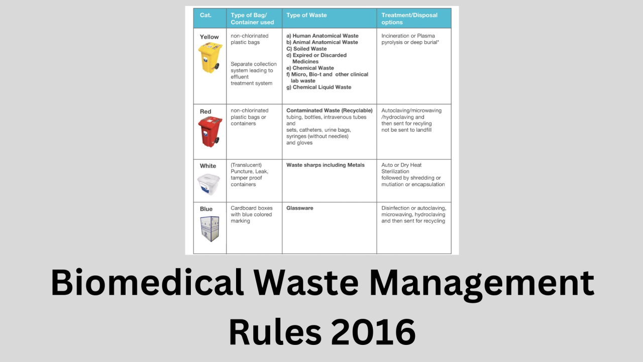 Ensuring Compliance and Safety: The Amlon Group’s Medical Waste Management Solutions