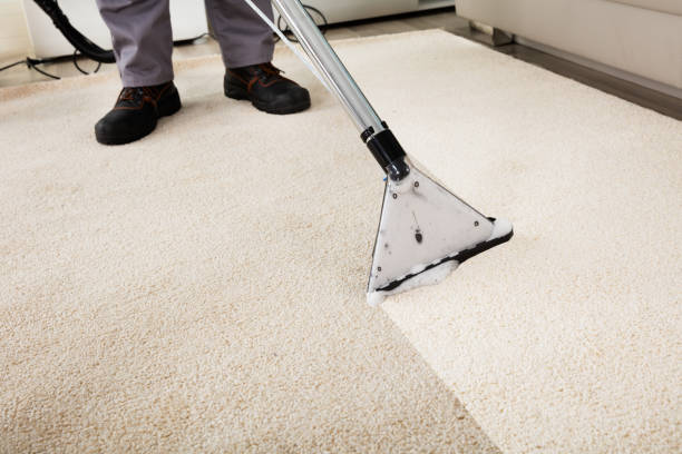 Carpet Conundrums: Cleaning or Complete Replacement?