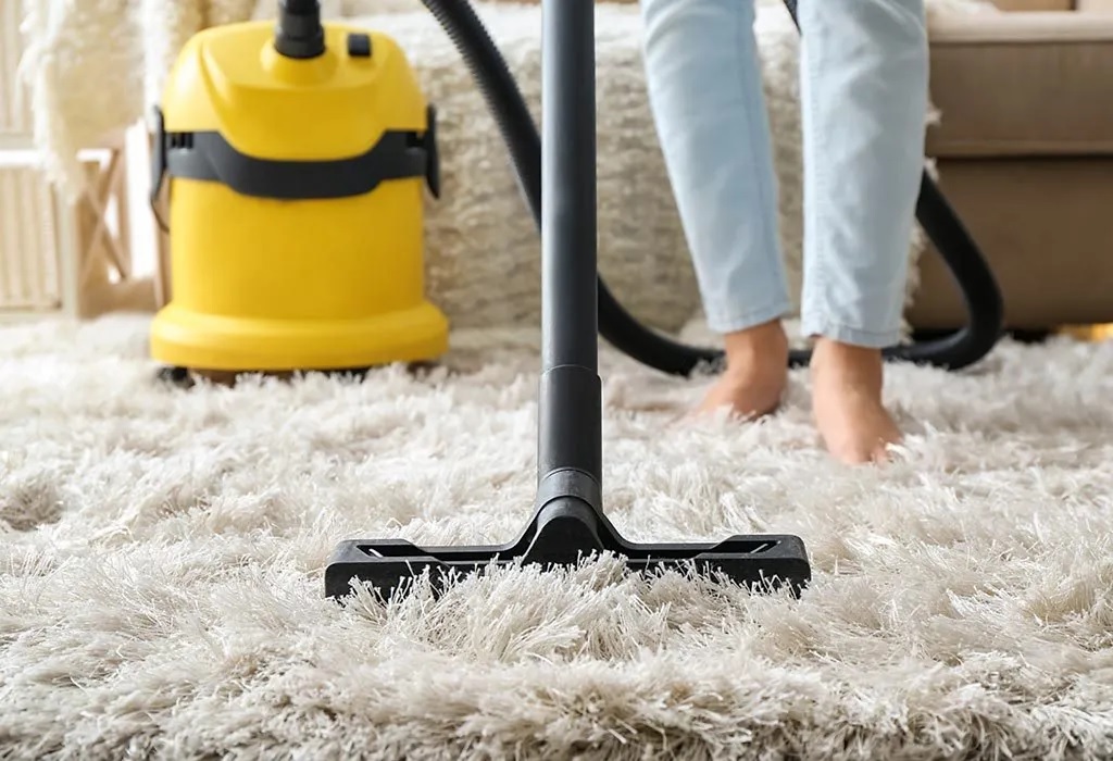 North Shore Carpet Maintenance Tips Year-Round