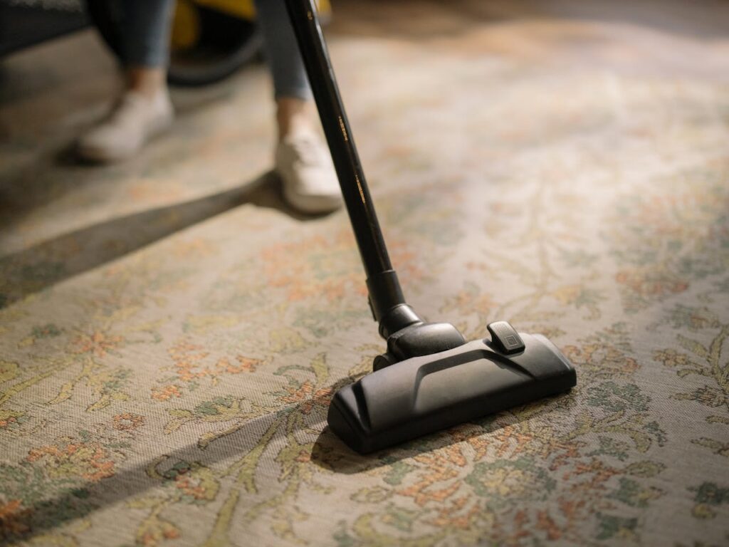 Top Perks of Professional Carpet Cleaning in North Shore