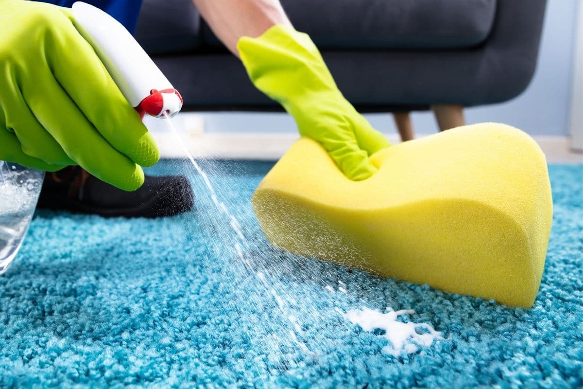 Hacks for Keeping Your Upholstery Pristine Between Professional Cleanings in Northern Beaches